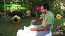 CONEJOS - Cómo peinar el conejo Angora