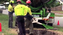 Máquina de plantar, remover e replantar árvores - Incrível