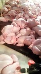 Worst Chicken Scandal in The History of Pakistan