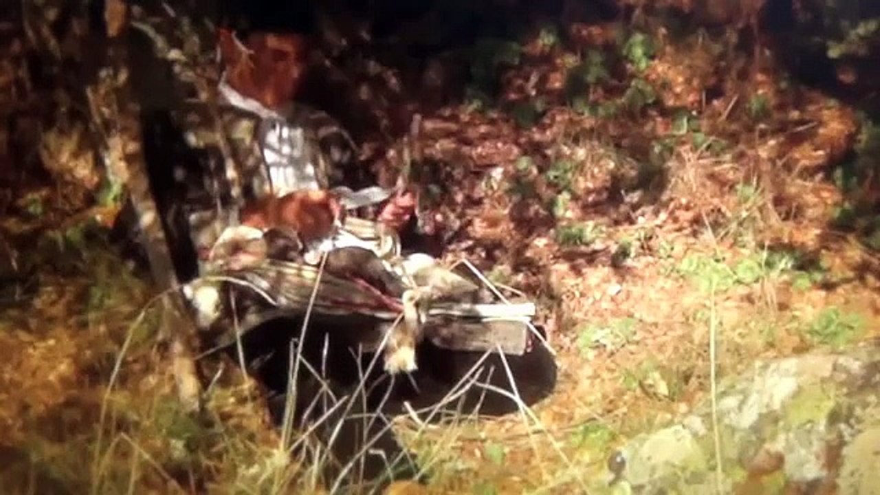 7 Bandoleros Siete !! Recordando a Antonio el  Zíngaro