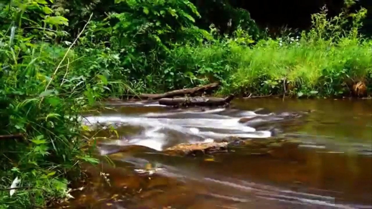 Hugo Blanco - Agua fresca