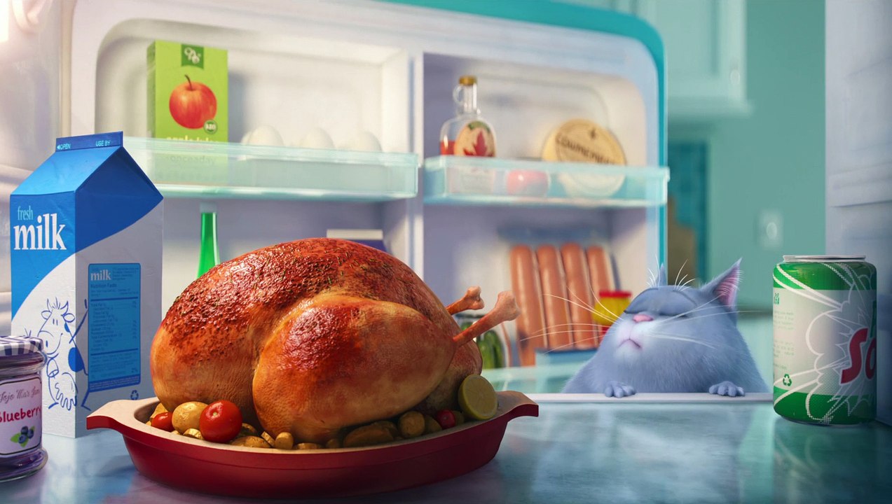 COMME DES BÊTES (THE SECRET LIFE OF PETS) - Bande-Annonce Teaser [VF|HD1080p]