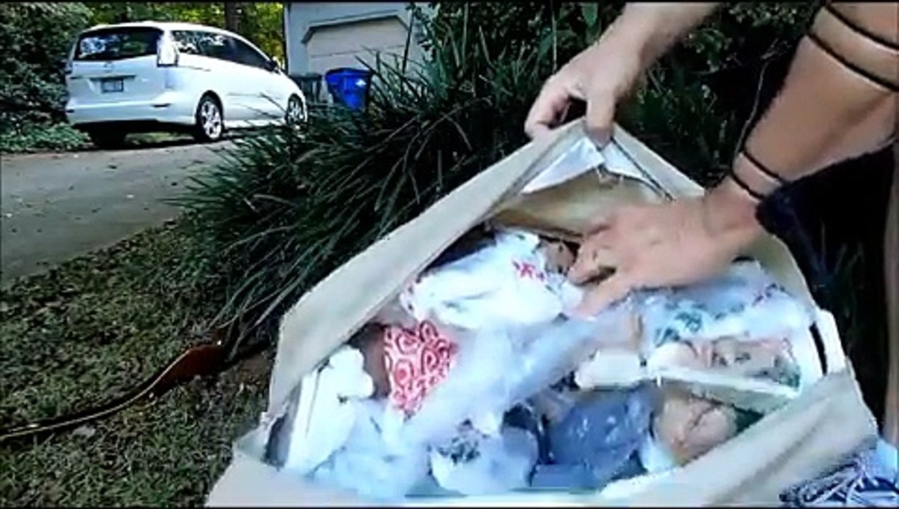 Traditional Archery: Shooting My Bear Grizzly Recurve 50lb@28 At My Homemade Target