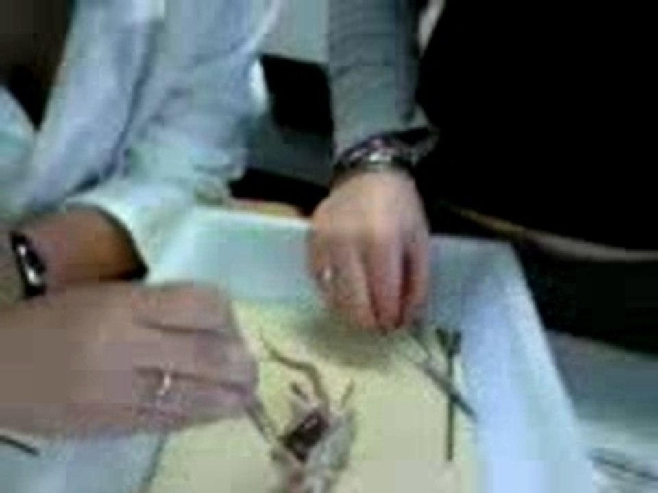 Dissection 1