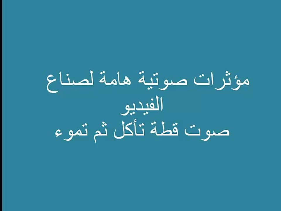 قطة تاكل وتموء