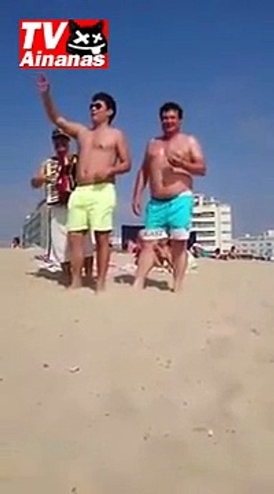 ok-vid