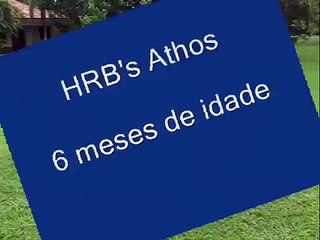 Download Video: HRB's Athos