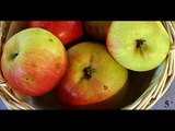 Pierde peso y colesterol. Manzanas beneficios y Propiedades. Plantas Medicinales