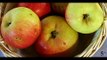 Pierde peso y colesterol. Manzanas beneficios y Propiedades. Plantas Medicinales
