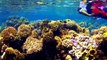 Bora Bora St Regis 2012 Amazing Video Vacation