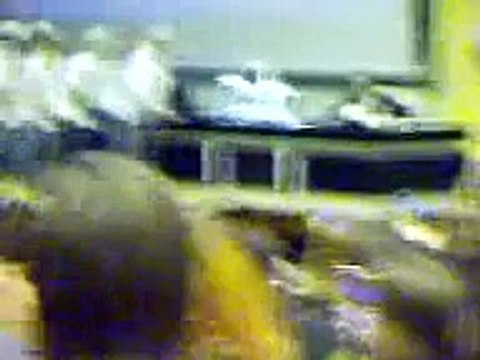 Mister Amphi UFR3 PCEM1 Bordeaux