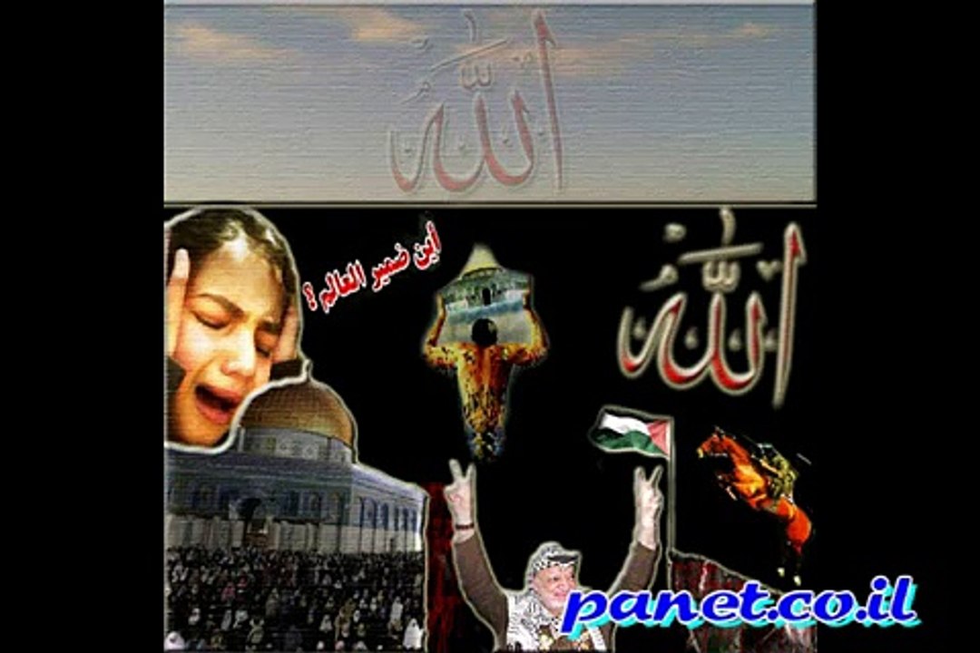غزه    بانيت  gaza  panet.co.il