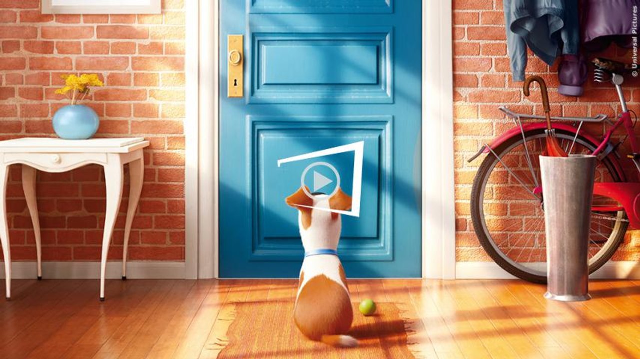 Pets Trailer (deutsch)