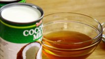 Low Calorie Egg Nog with Soy & Coconut Milks