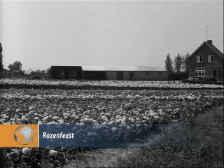 Rozenfeest - 1963