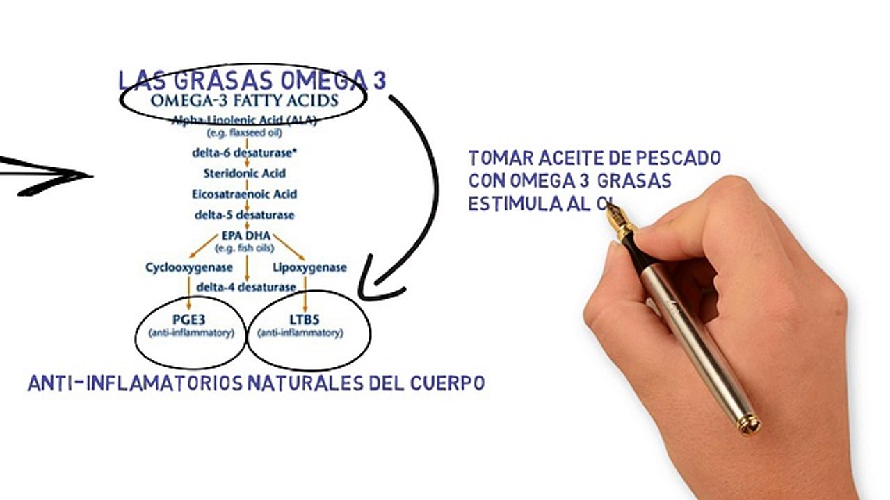 Aceite De Pescado