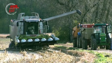 Moissonneuse-batteuse avec chenilles
