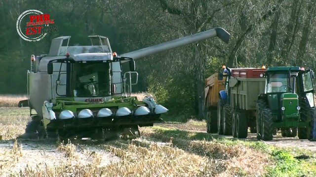 Moissonneuse-batteuse avec chenilles