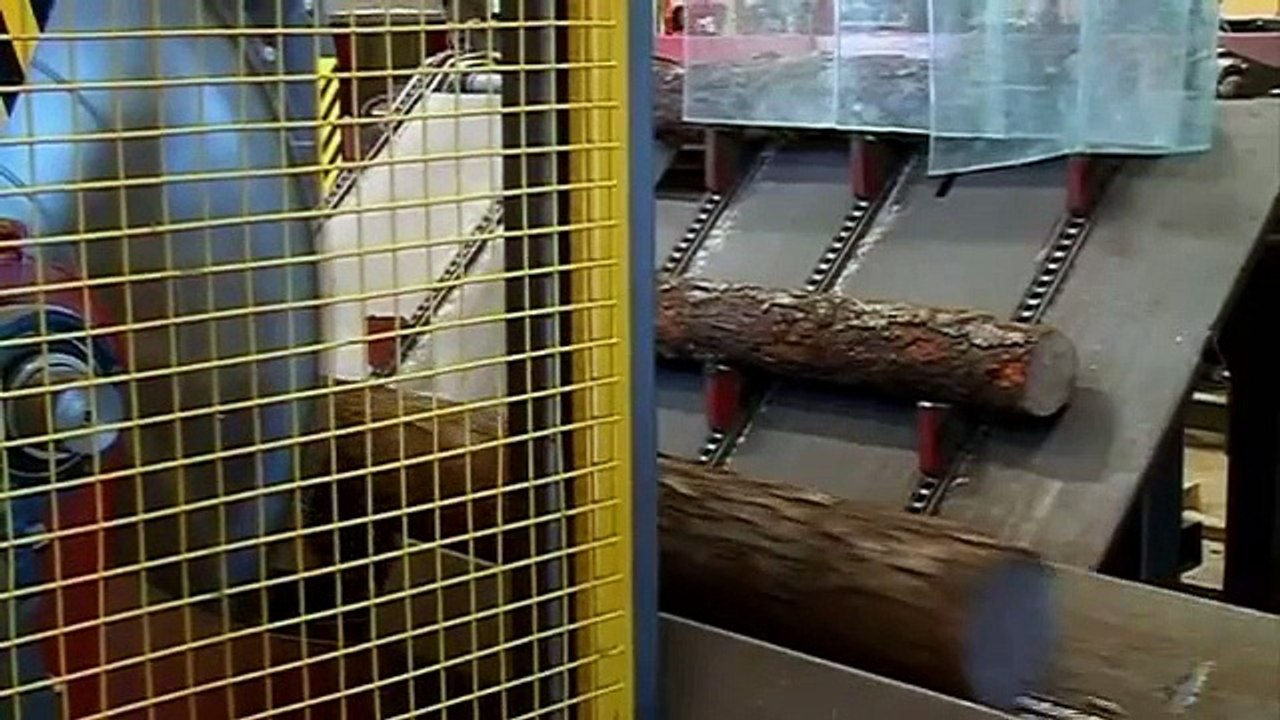 Taras dēļu ražošanas līnija www.forma.lv