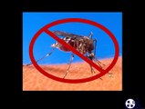 Anti Zancudos Sonido Anti Mosquitos (Mejorado) Mosquito Repellent Sound