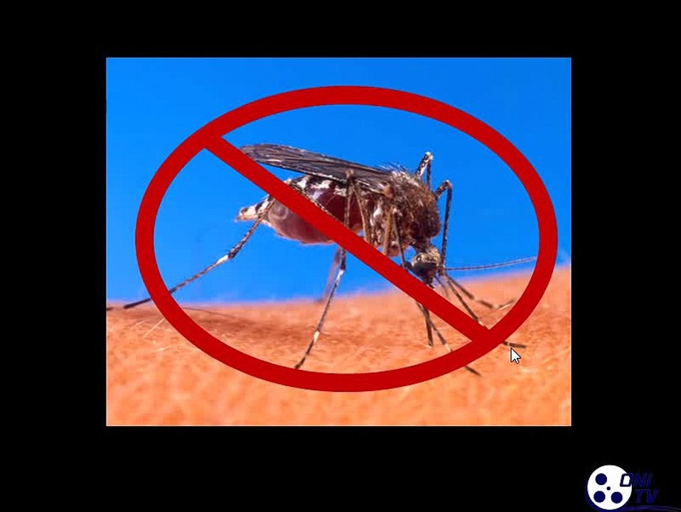 Anti Zancudos Sonido Anti Mosquitos (Mejorado) Mosquito Repellent Sound