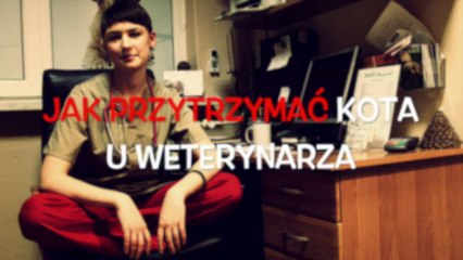 SOS Kot #7 - Jak przytrzymać kota u weterynarza - Dookoła KotaTV