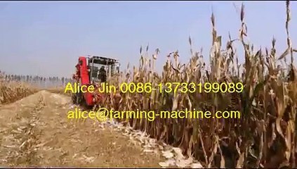 Corn Combine Harvester