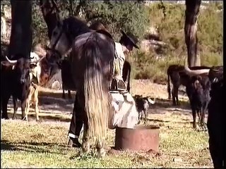 Vida de Campino - Manuel da Câmara, Carlos Pegado e Rodrigo Pereira
