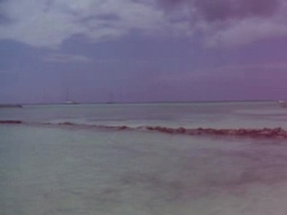 Saona