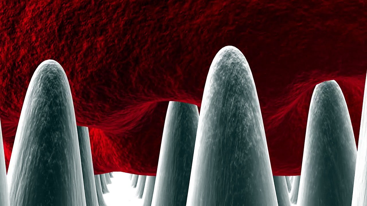 Red staph.virus