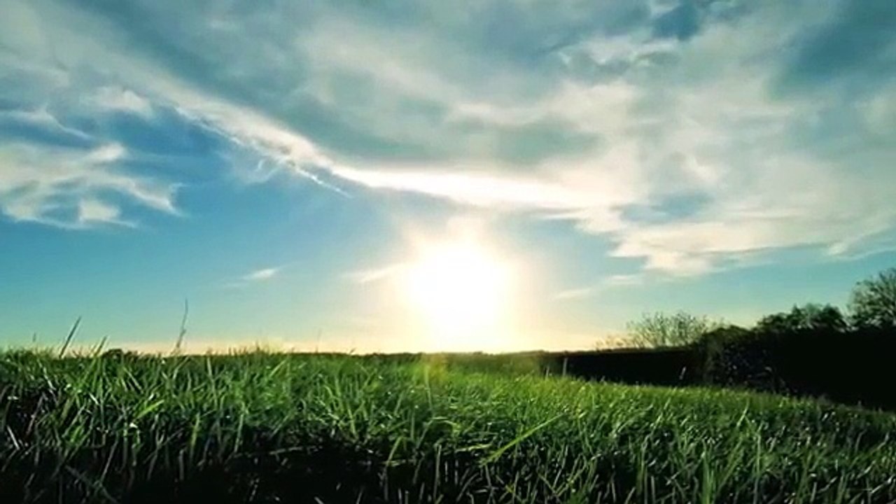 Avalon - Renew Me