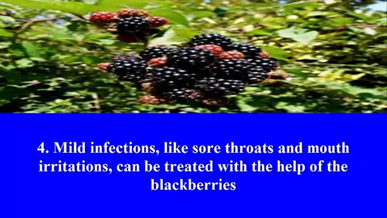 Top 10 Natural Health Benefits of Blackberries