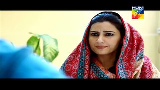Assi Episode 14 on Hum Tv in High Quality 5th May 2015 _ DramasOnline