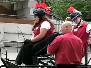 Fjord Horse Introduction at the All Breed Show