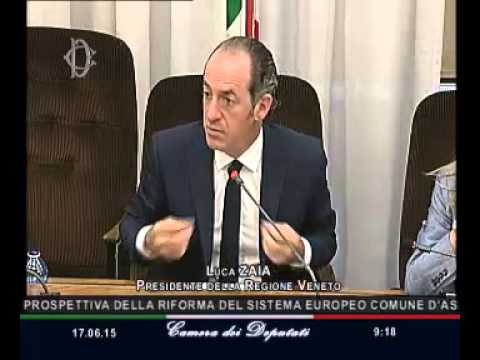 Roma - Flussi migratori, audizione Presidente Regione Veneto, Zaia (17.06.15)