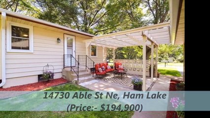 Ham Lake Homes For Sale Lindahl Group