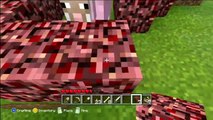 Finding & Trapping Rare Pink Sheep In Minecraft Xbox 360 Edition