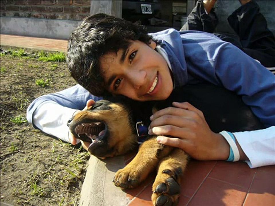 Mi rottweiler Atila!