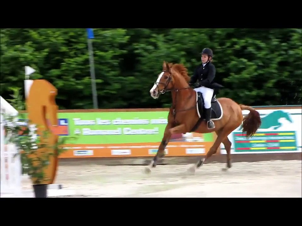 concours de saut d'obstacle