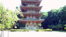 Five Story Pagoda (塔） in Daigoji Temple　（醍醐寺）, Kyoto City