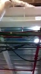 הגנת אש בצבע Phoenix להגנת אש לפלדה - פילו אש