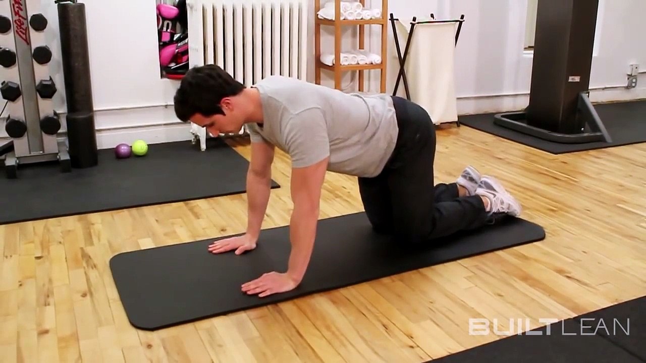 Bird Dog Core Exercise: 3 Variations