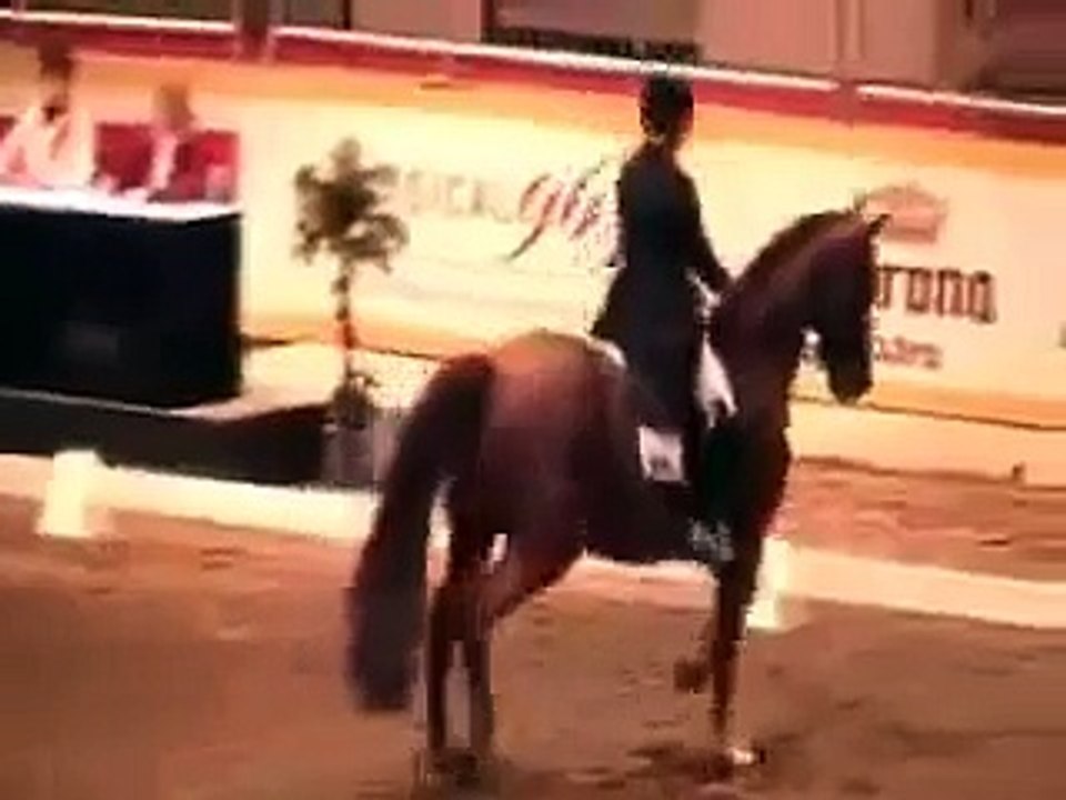 Canadian World Cup Final-Grand Prix Test Evi Strasser