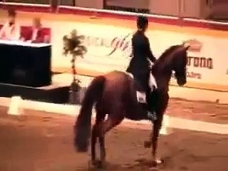 Canadian World Cup Final-Grand Prix Test Evi Strasser