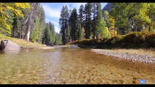 AMAZING 4K Nature Scene: Autumn Mountain Stream (15 Minutes)
