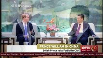 Xi Jinping meets Prince William in Beijing