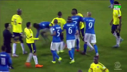 Post-match Fight Brazil vs Colombia | Copa America