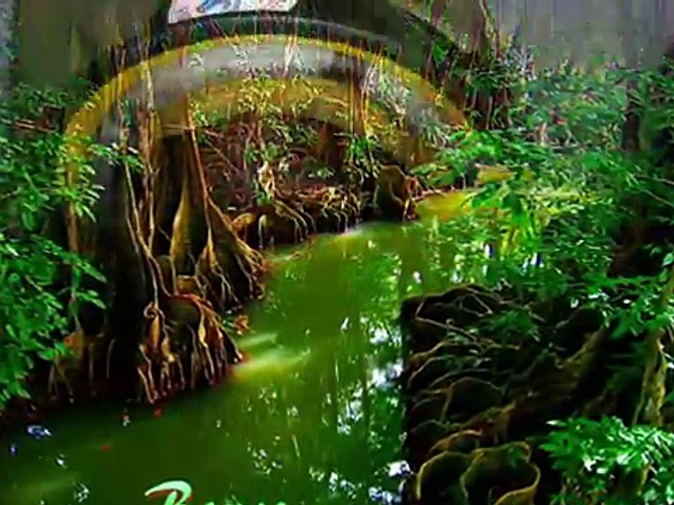 The Best of Dominica by April King music by Lucky Dube