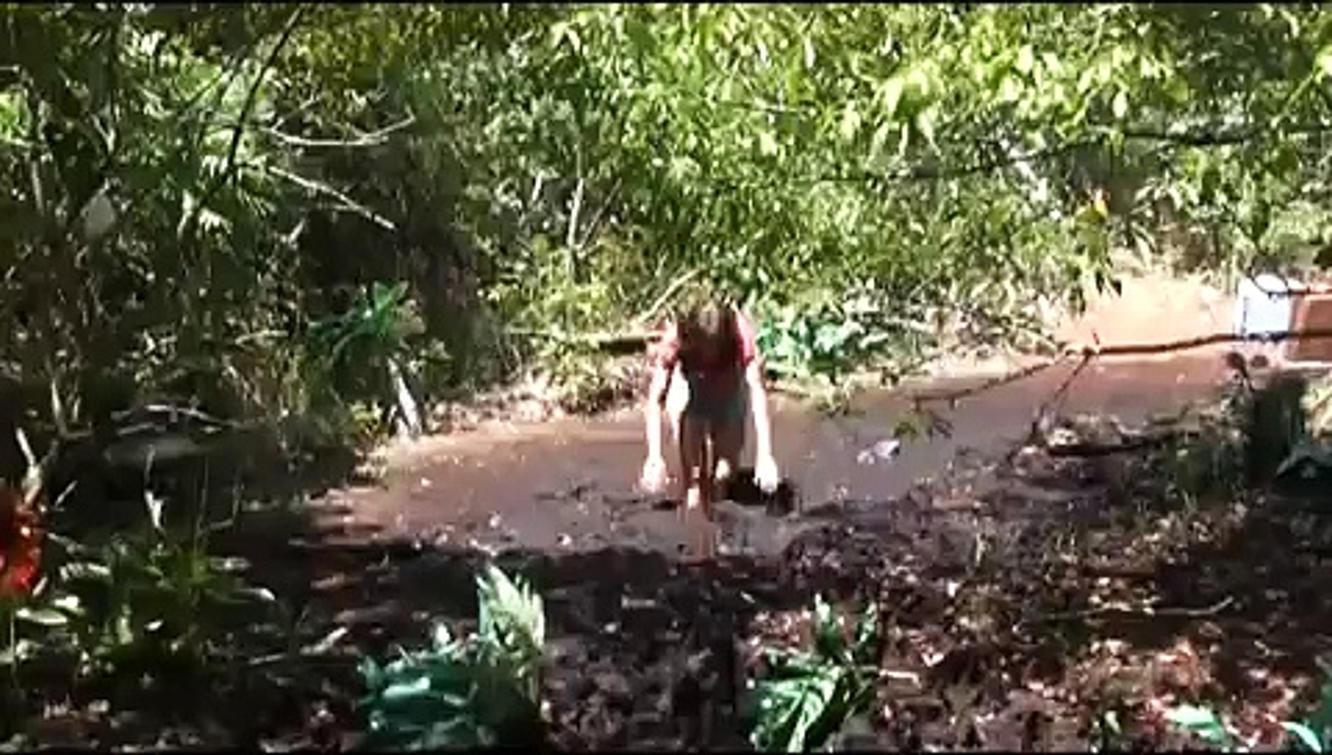 Quicksand Swallowing Lady In Alaska