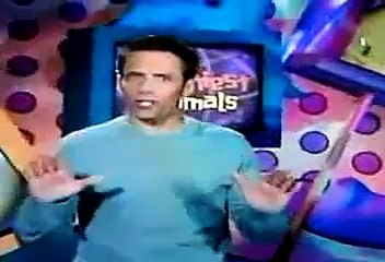 videos divertidos de animal planet